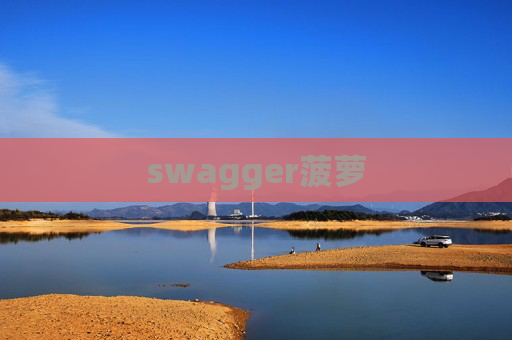 swagger菠萝